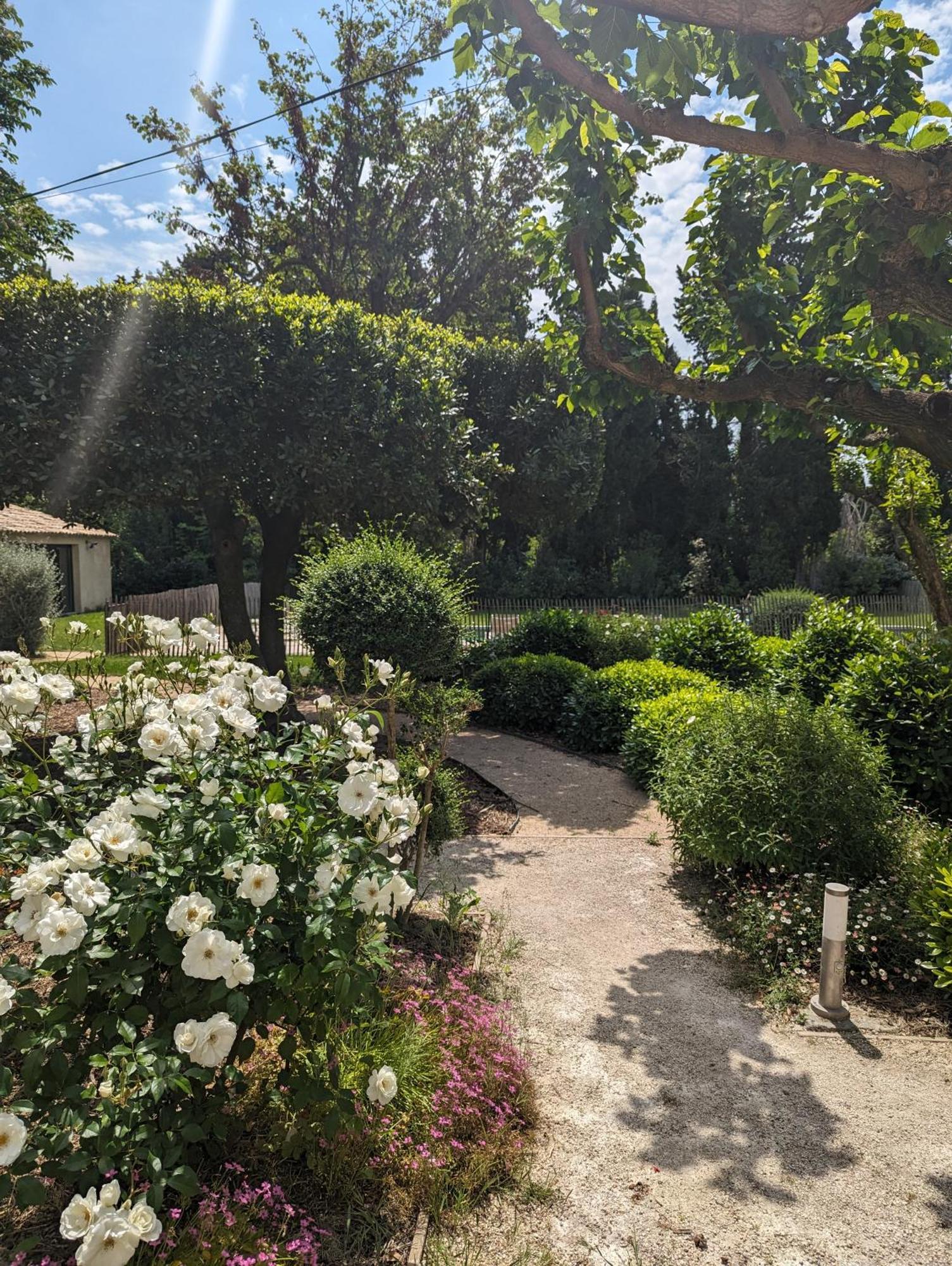 ホテル Mas De La Gramillere バルバンターヌ エクステリア 写真