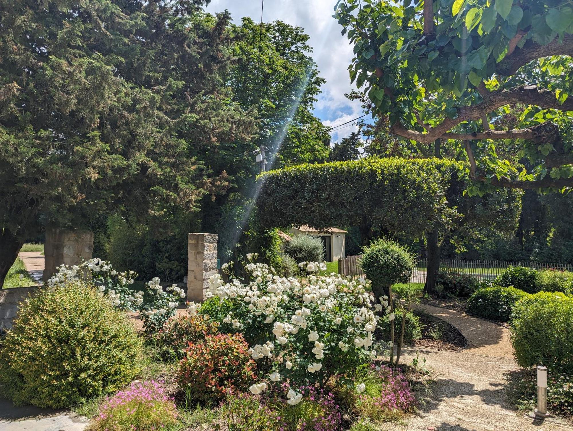 ホテル Mas De La Gramillere バルバンターヌ エクステリア 写真